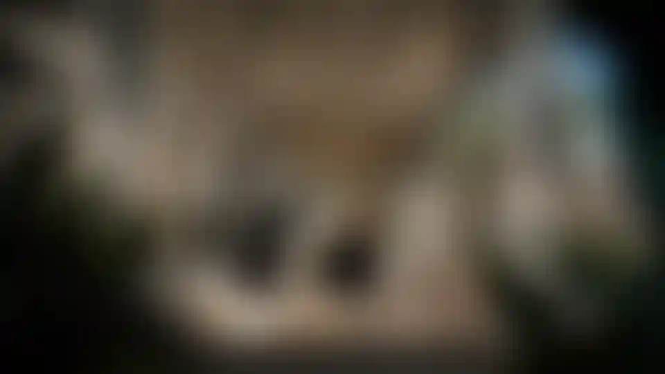 image for main block