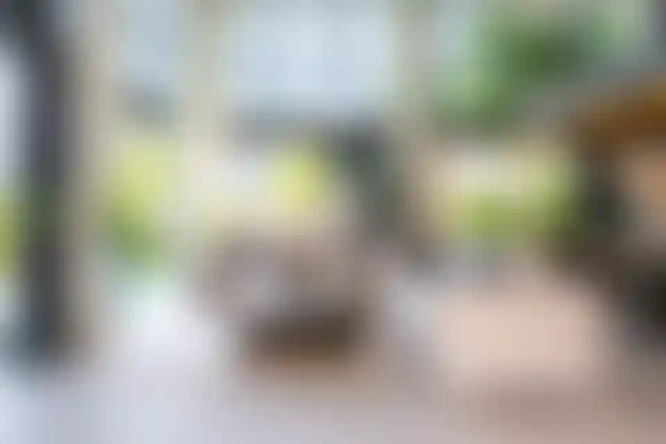 image for main block