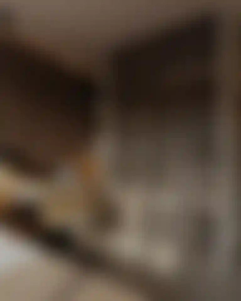 image for main block