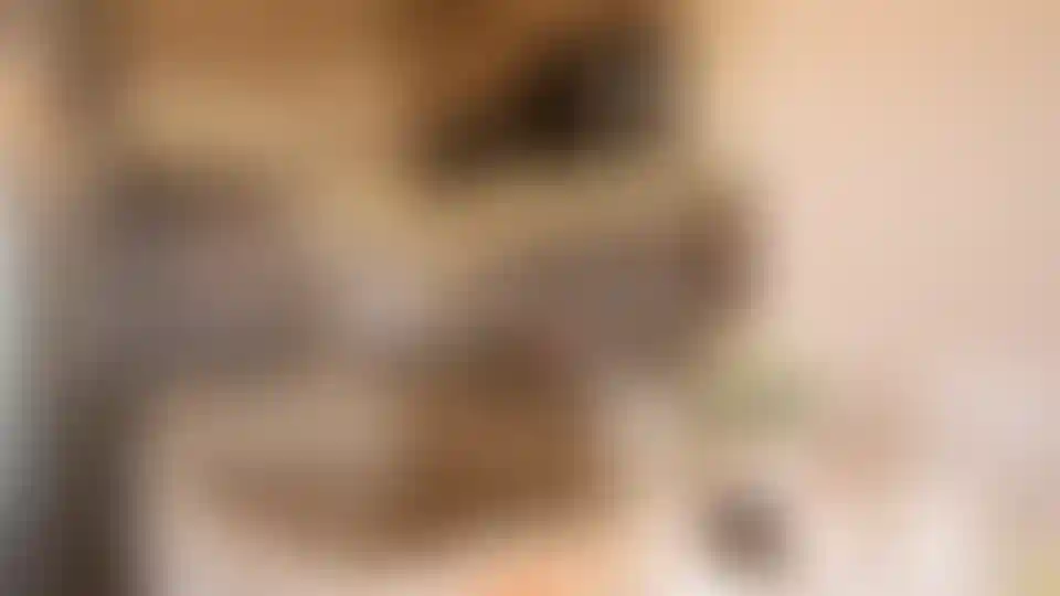 image for main block