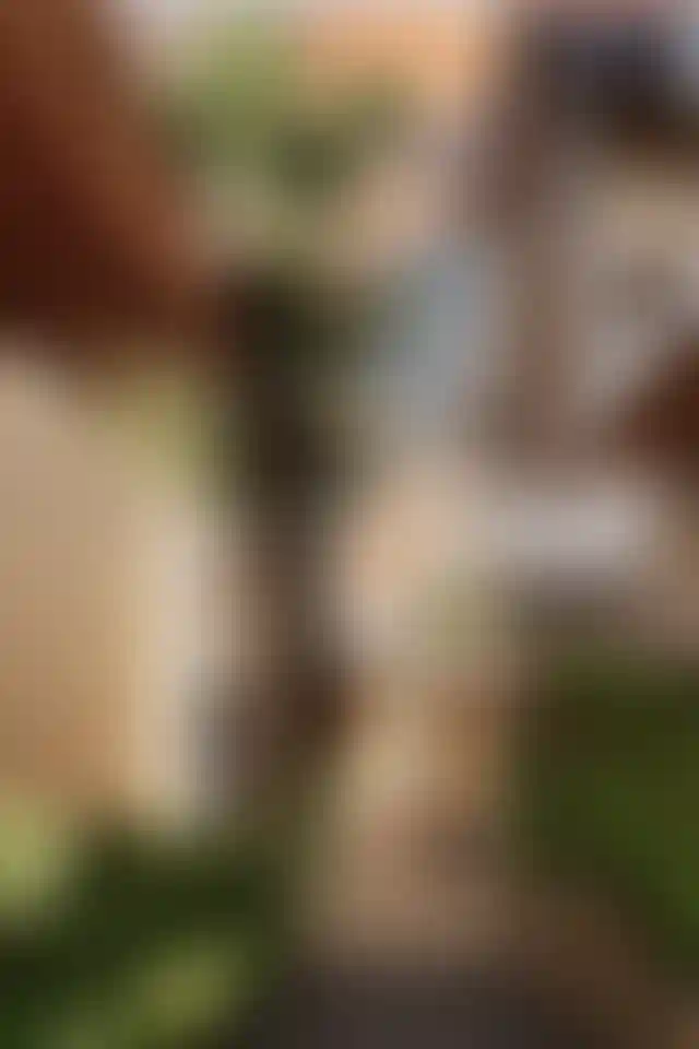 image for main block