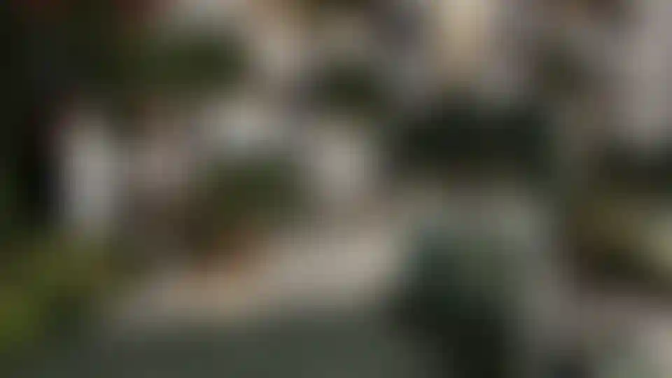 image for main block