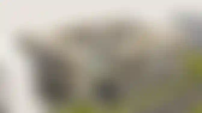 image for main block