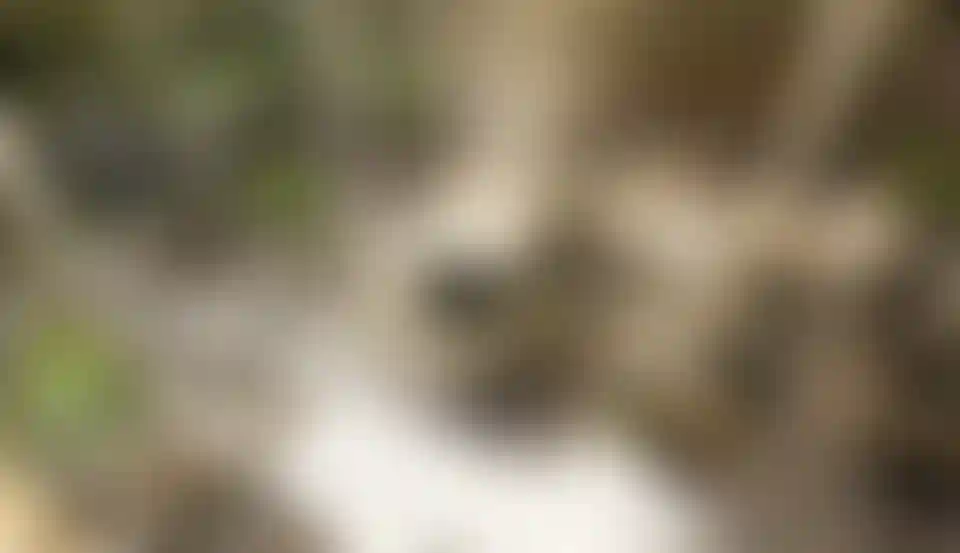 image for main block