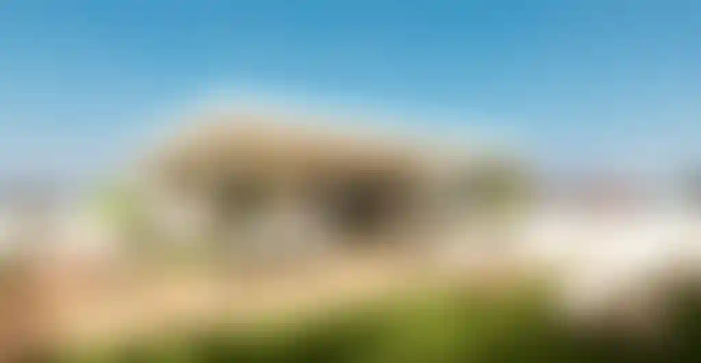image for main block