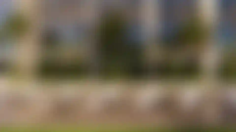 image for main block