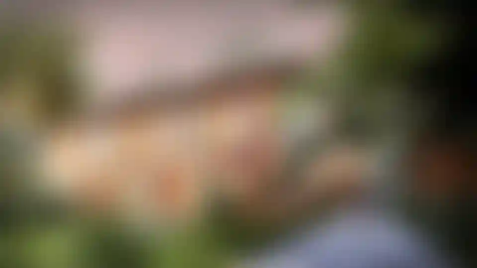 image for main block