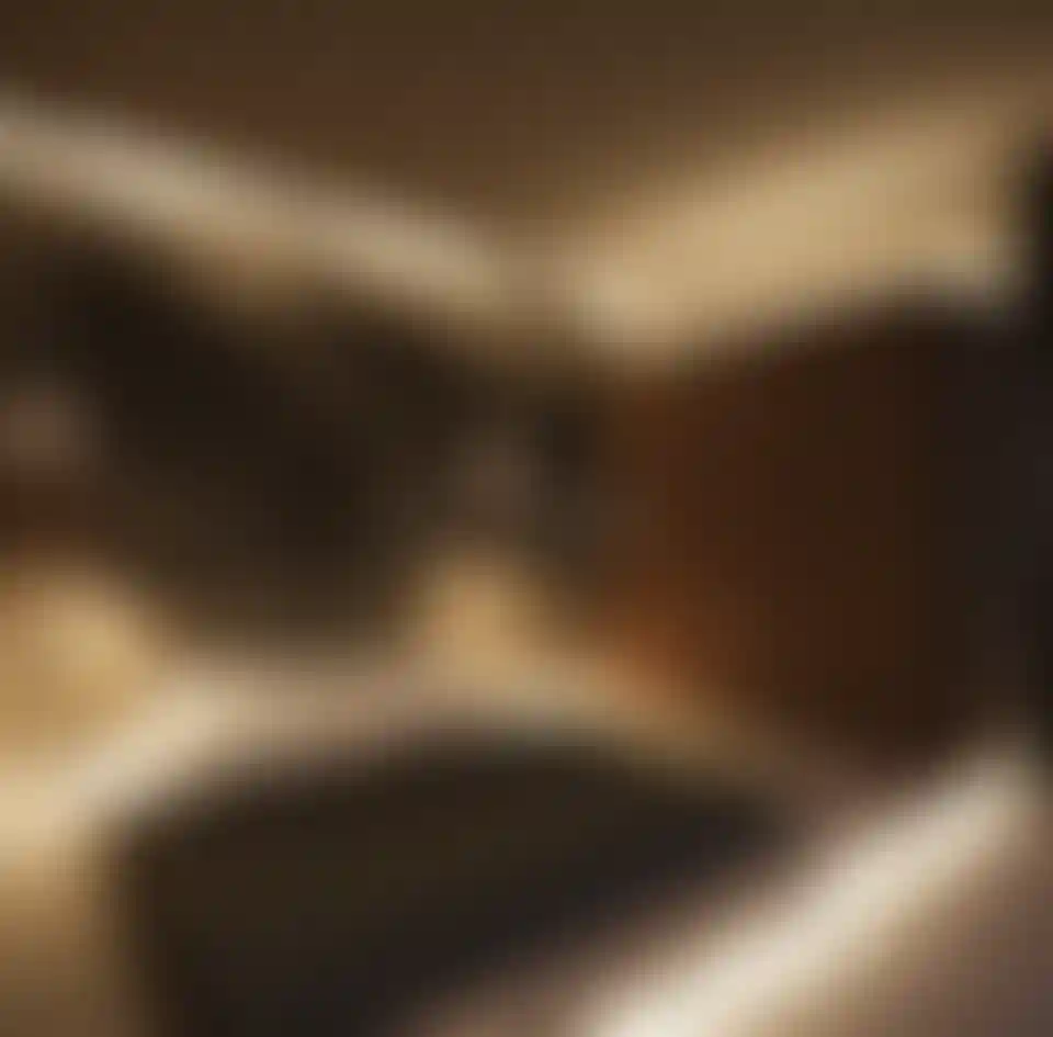 image for main block