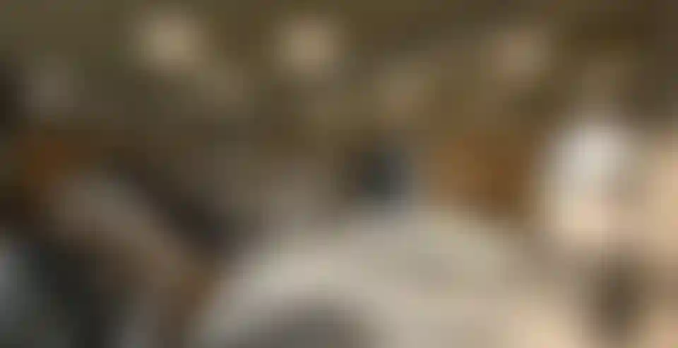 image for main block