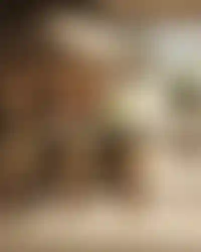 image for main block