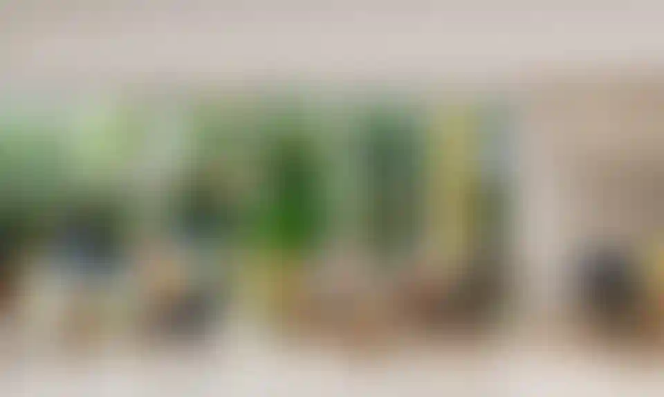 image for main block