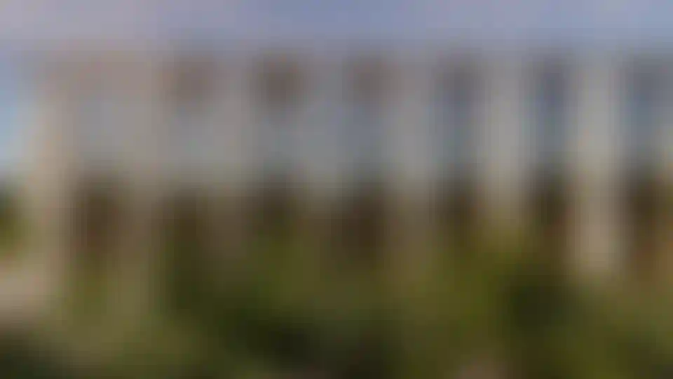 image for main block