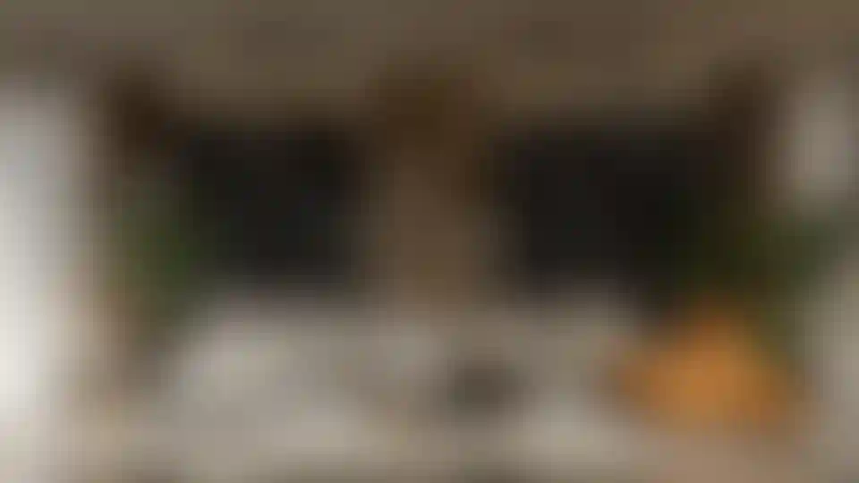 image for main block