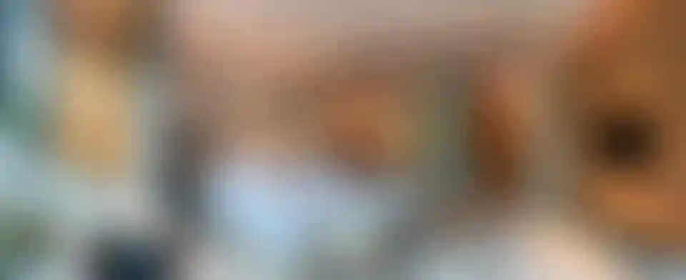 image for main block