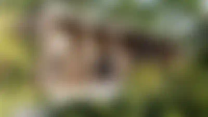 image for main block