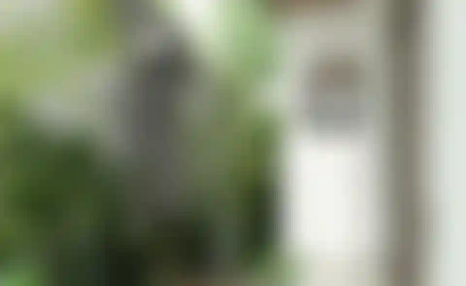 image for main block