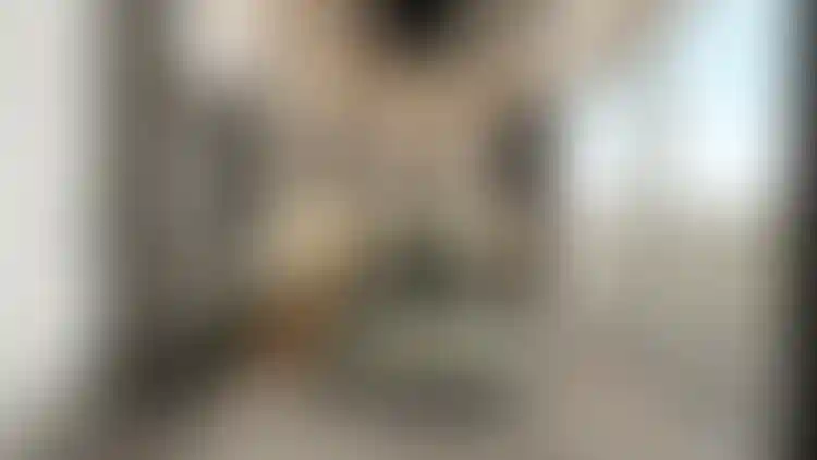 image for main block