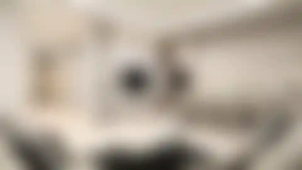 image for main block