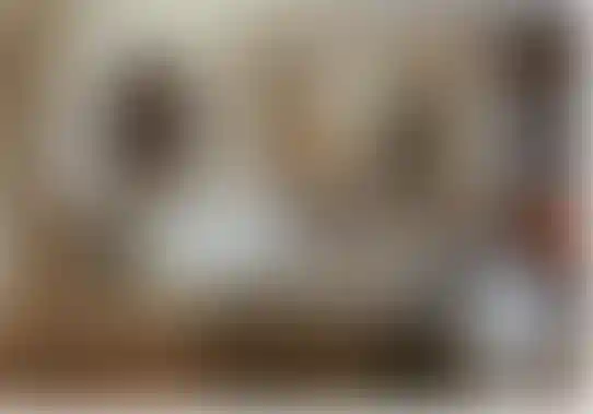 image for main block