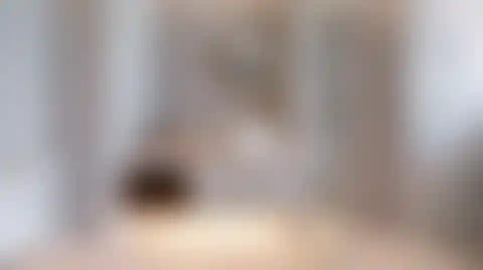 image for main block