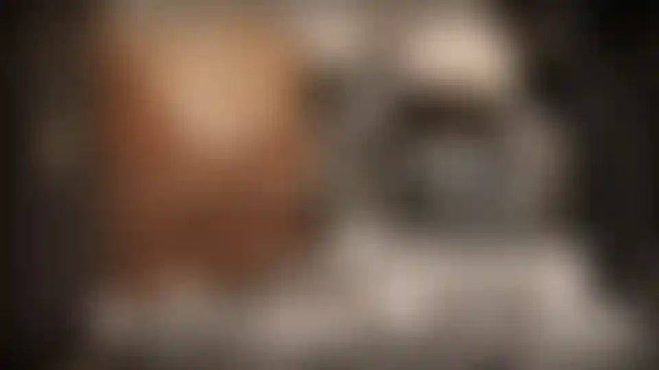 image for main block