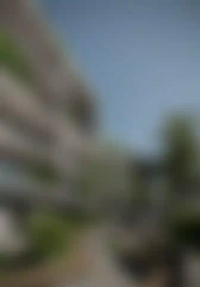 image for main block