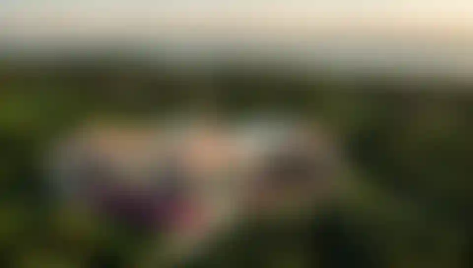 image for main block