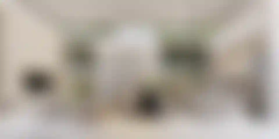 image for main block