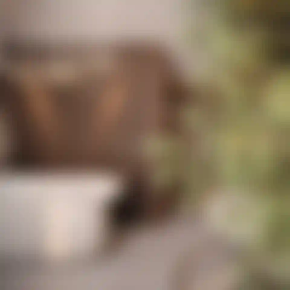 image for main block