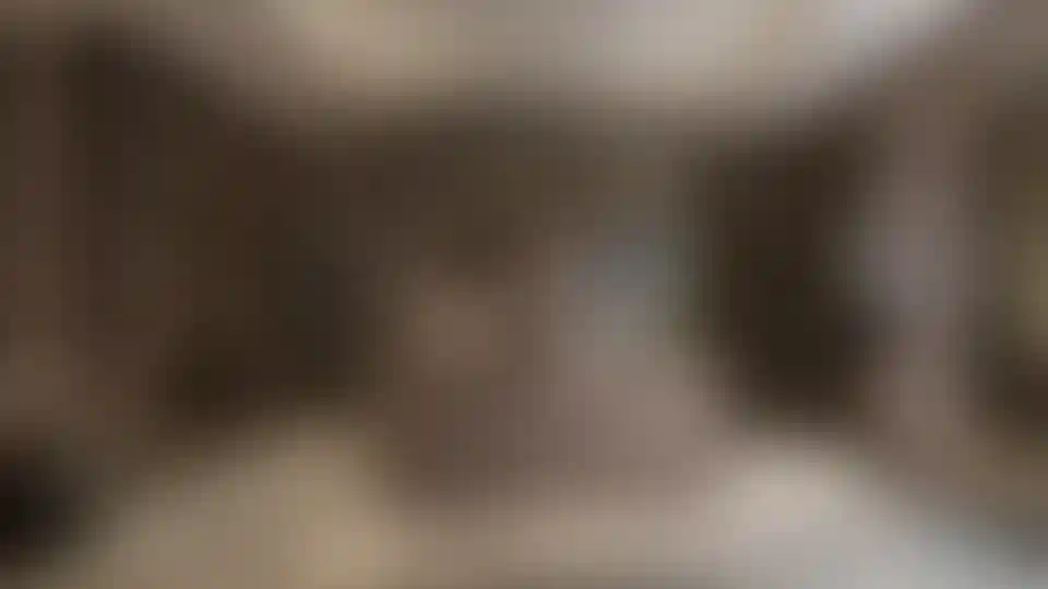 image for main block