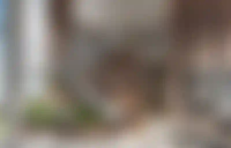 image for main block