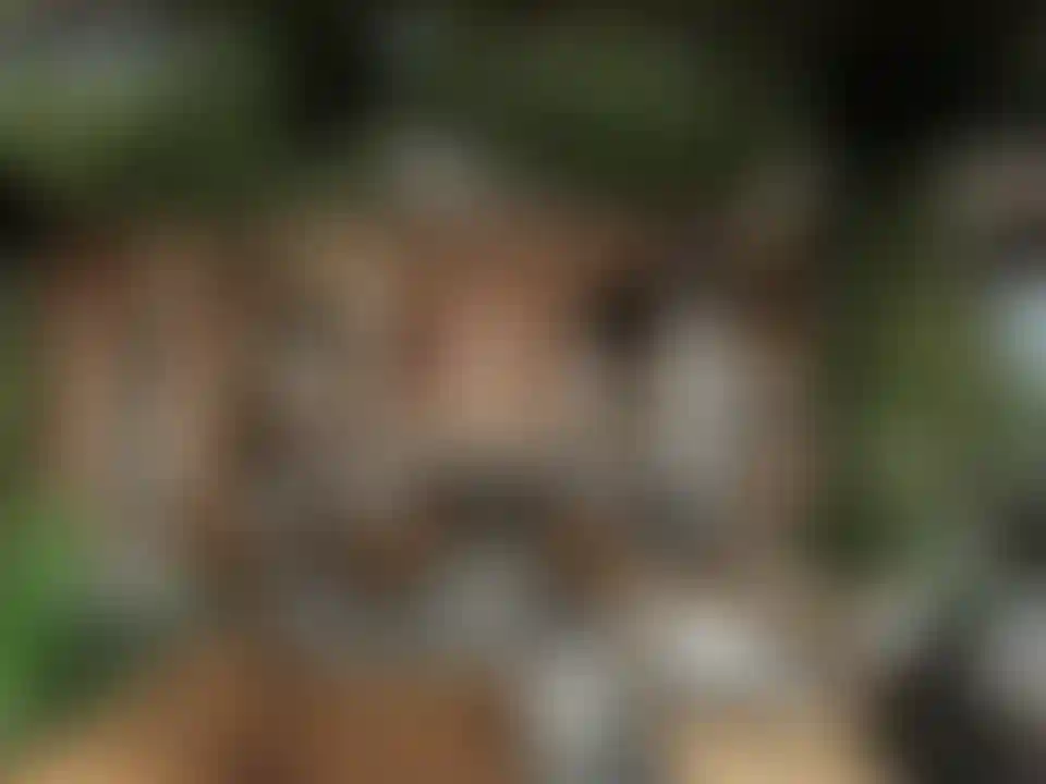 image for main block