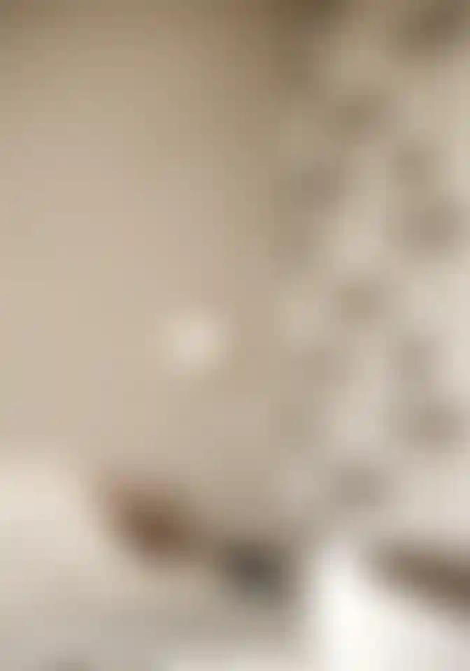 image for main block