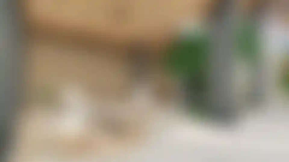 image for main block