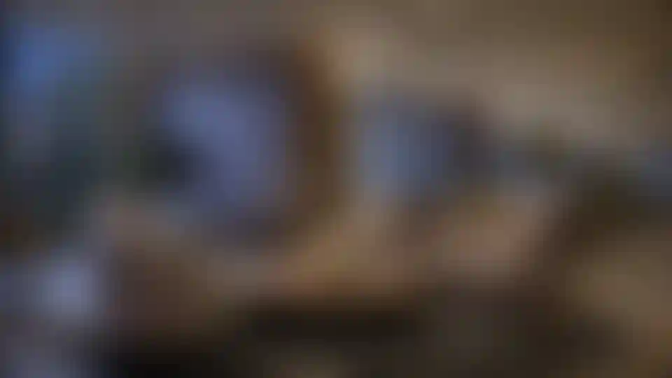 image for main block