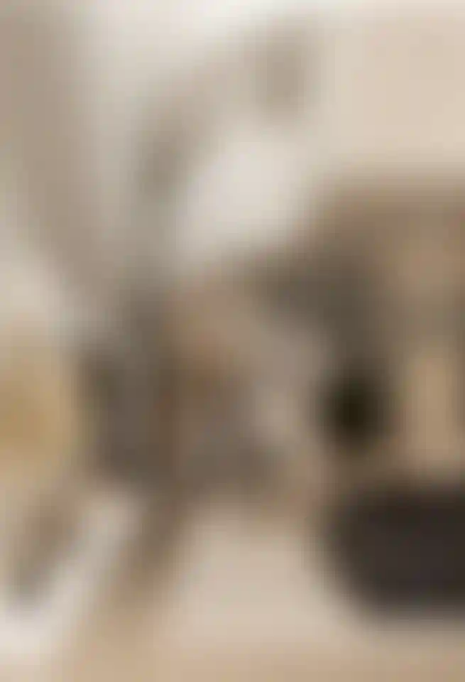 image for main block