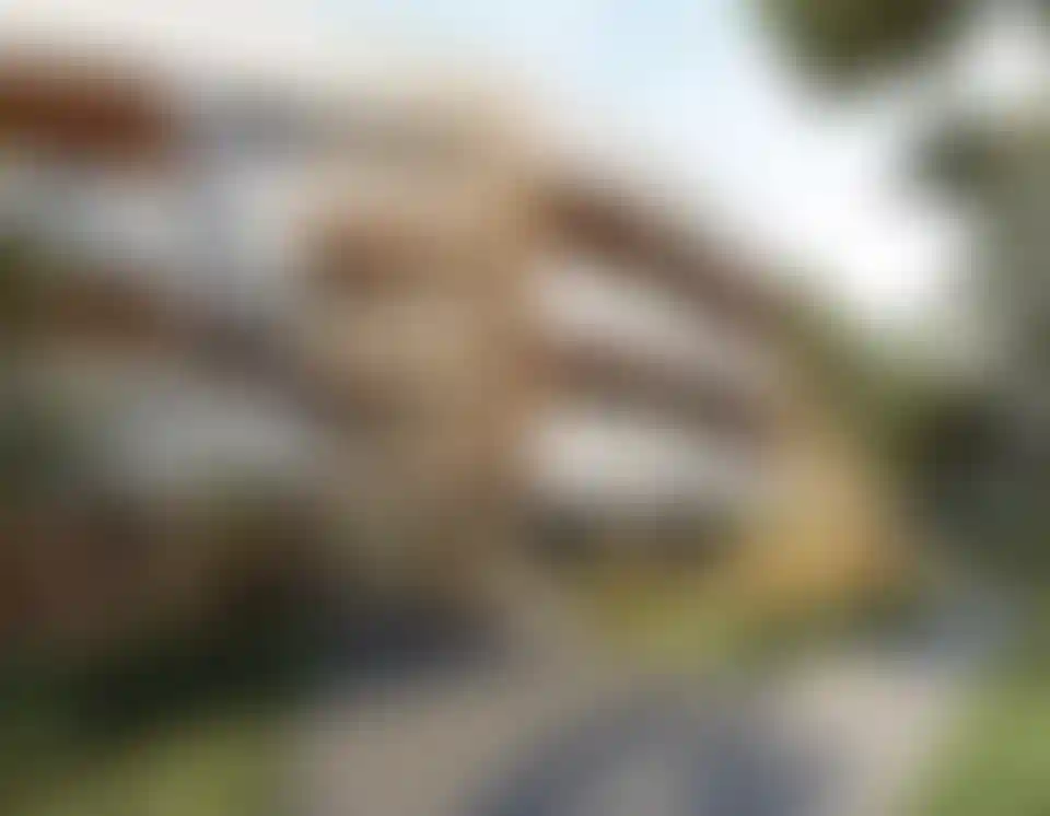 image for main block