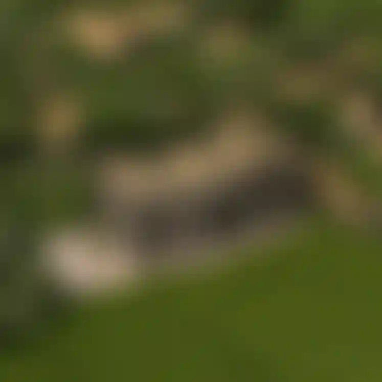 image for main block