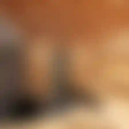 image for main block