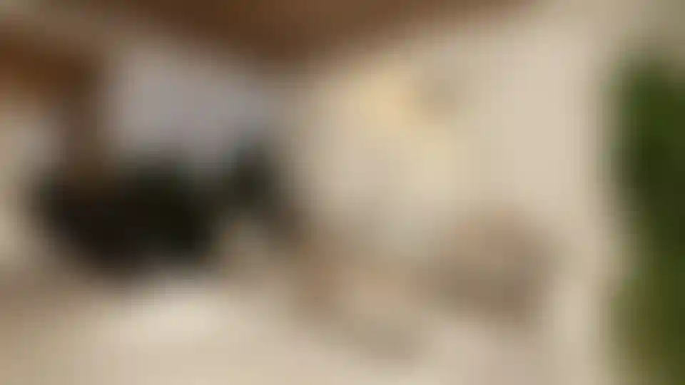 image for main block