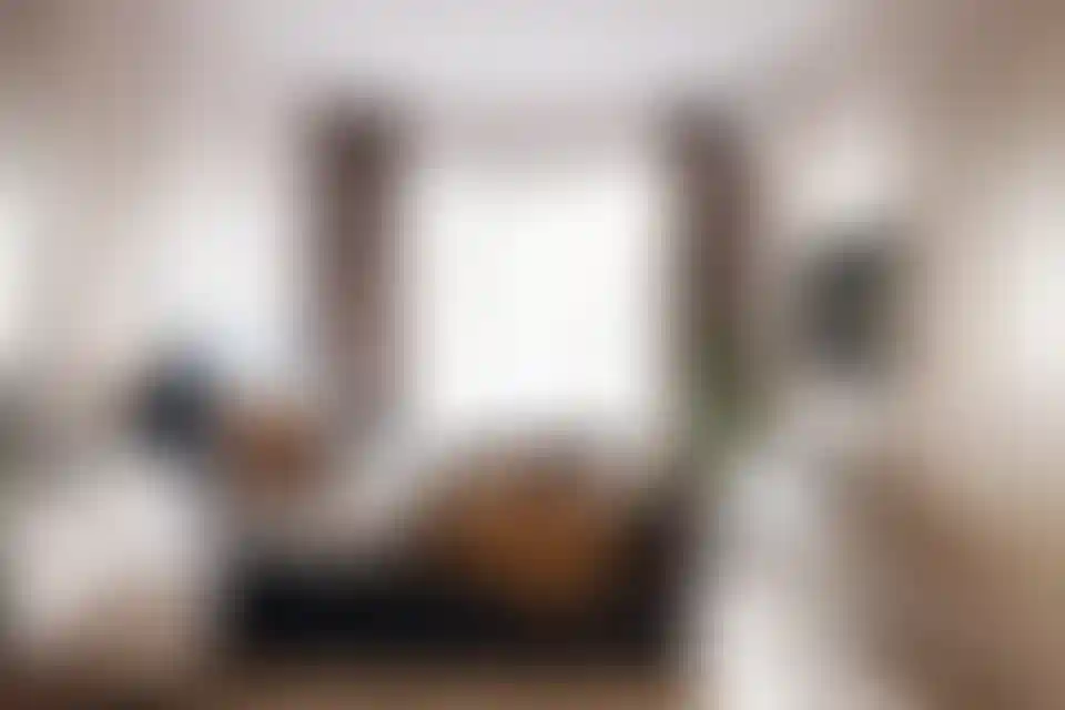 image for main block