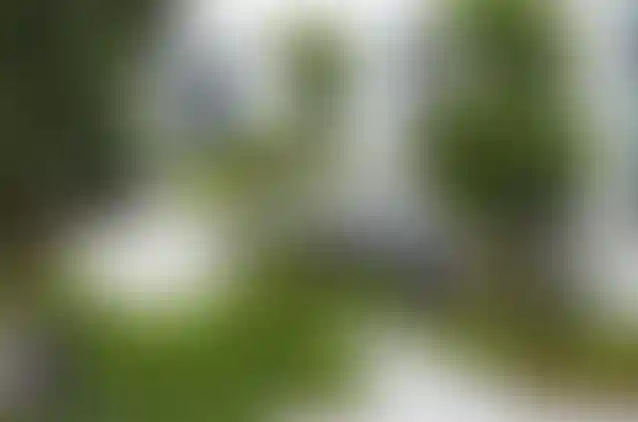 image for main block