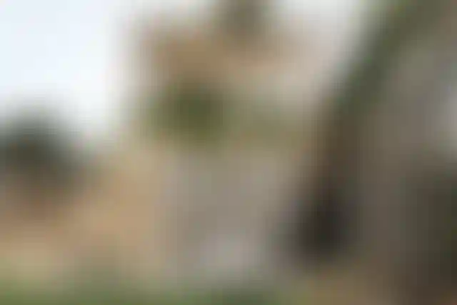 image for main block