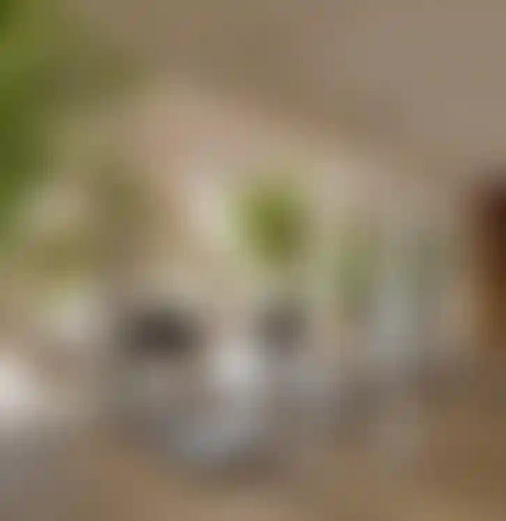 image for main block