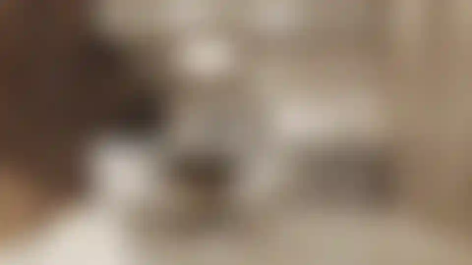 image for main block