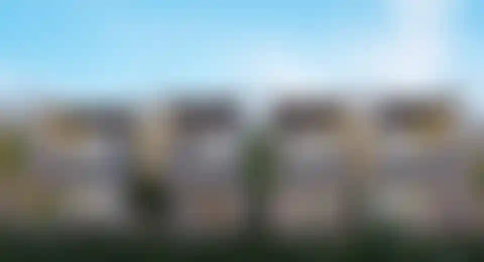 image for main block