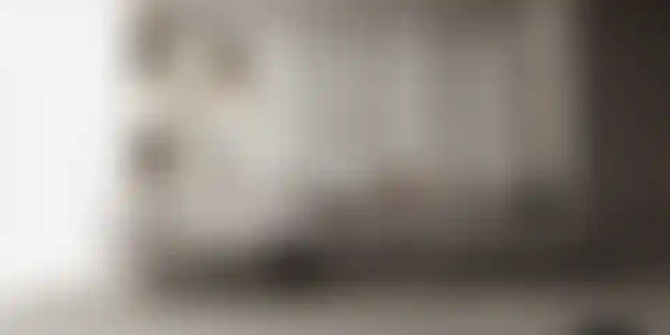 image for main block