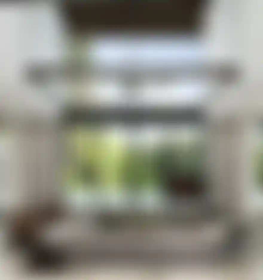 image for main block