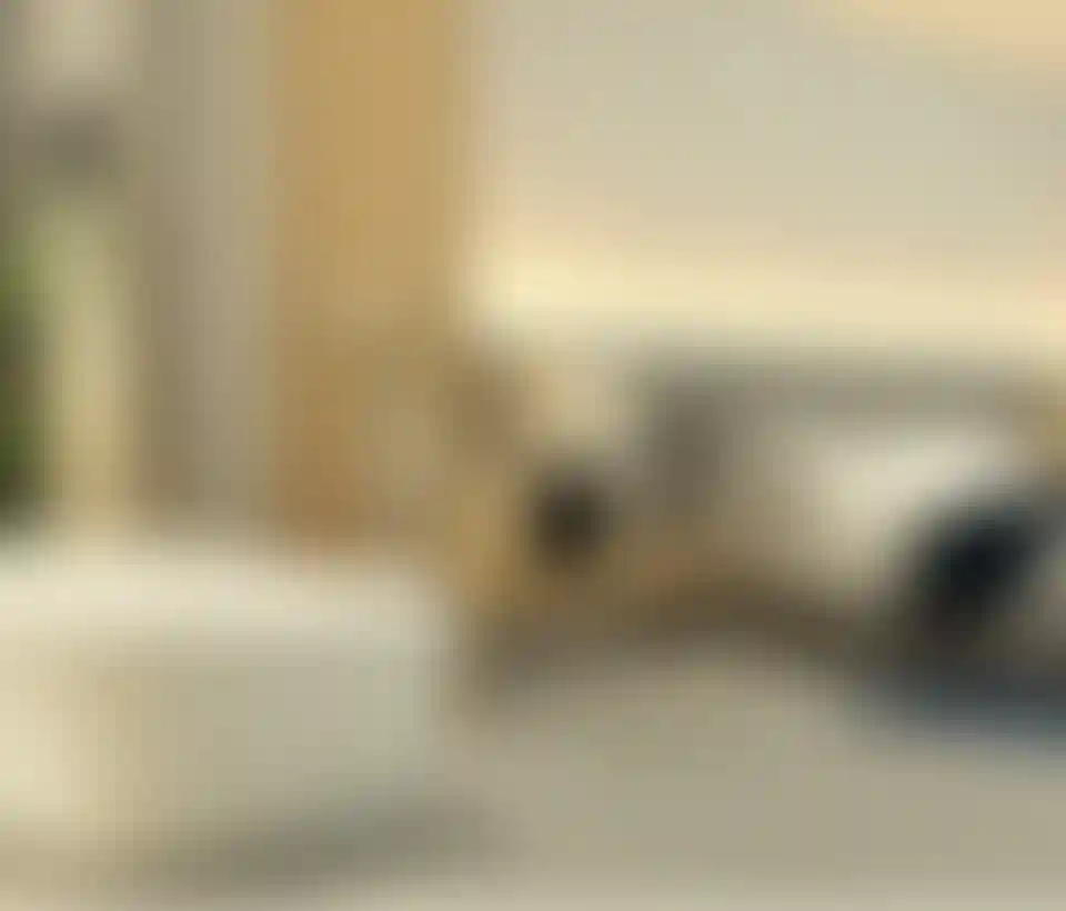 image for main block