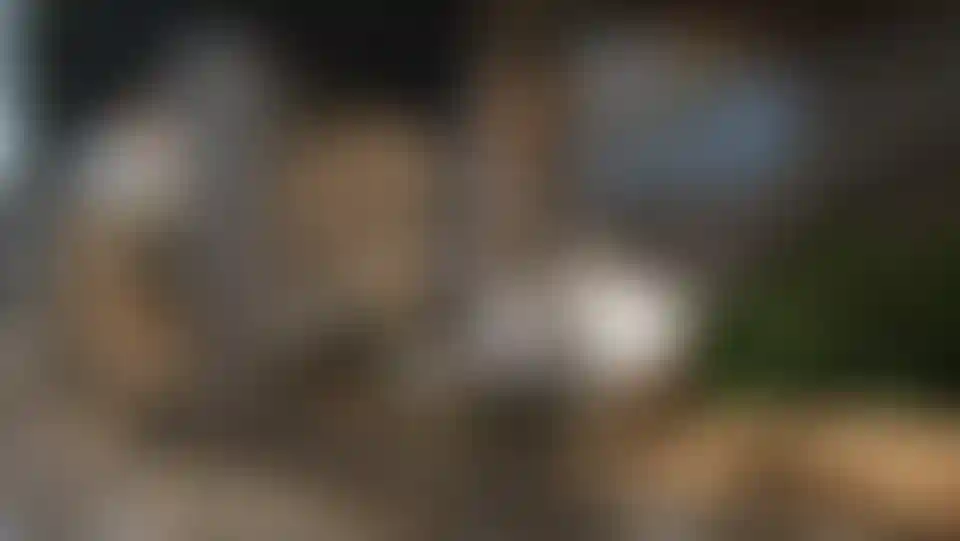 image for main block